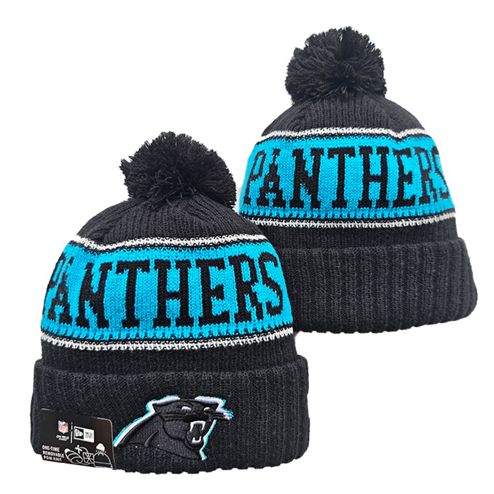 Carolina Panthers 2026 Knit Hats 001